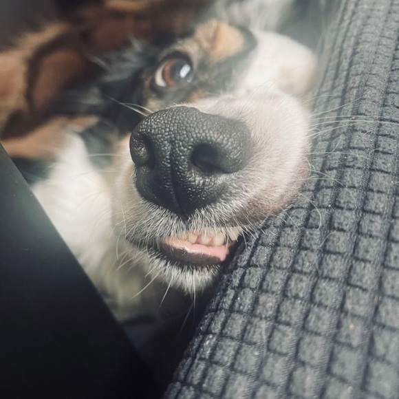 Meet your Posher, Adrienne (but please, call me Renn.) - Picture 7 of 7